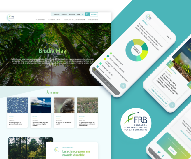 Refonte site institutionnel FRB