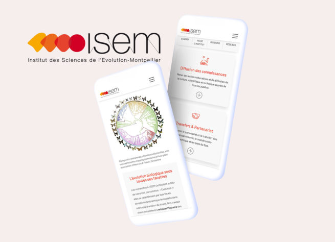 Refonte site web ISEM