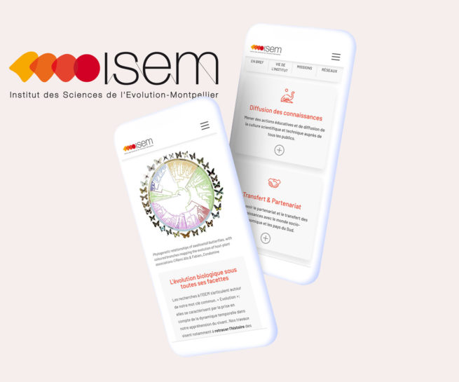 Refonte site web ISEM
