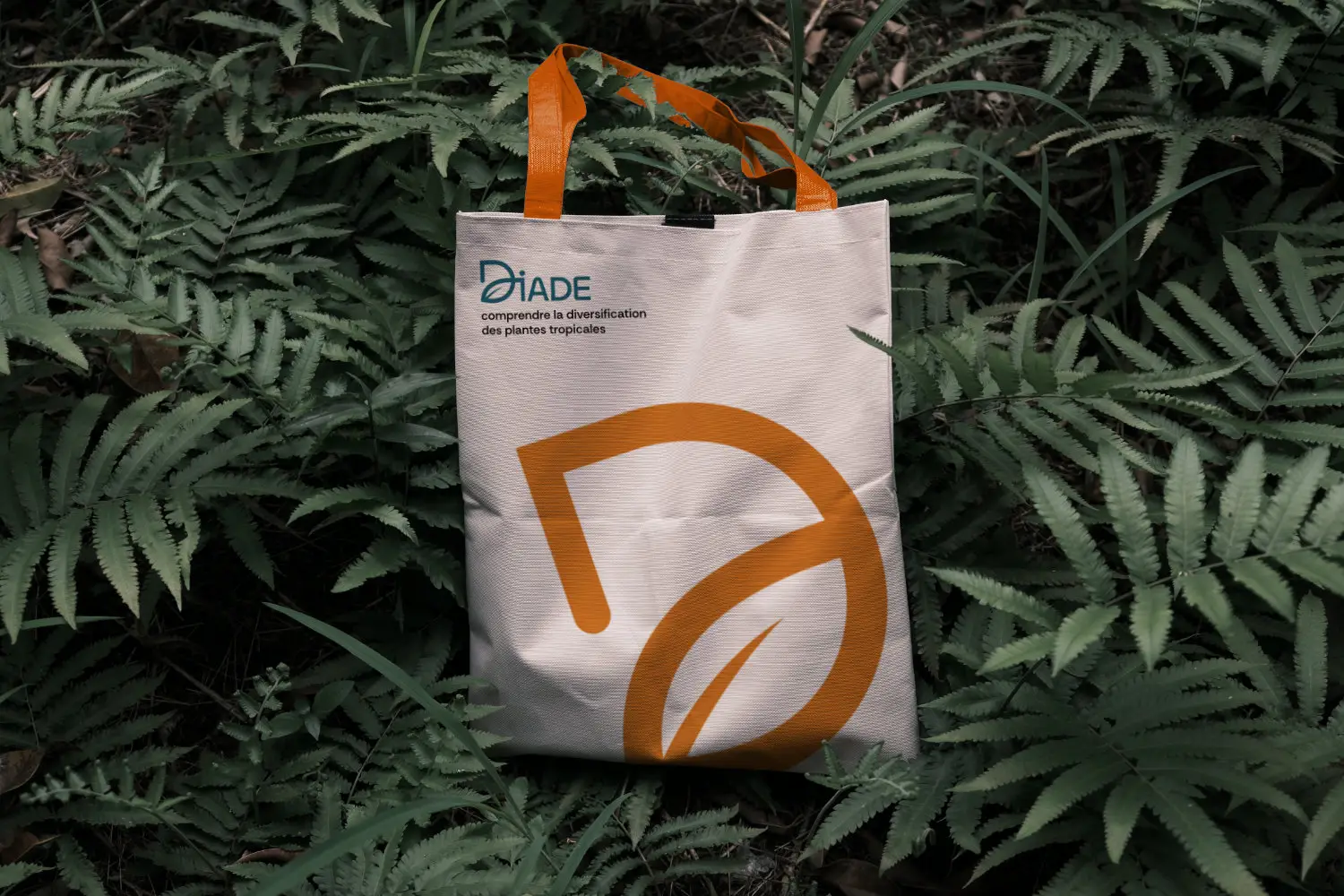 Identité visuelle DIADE