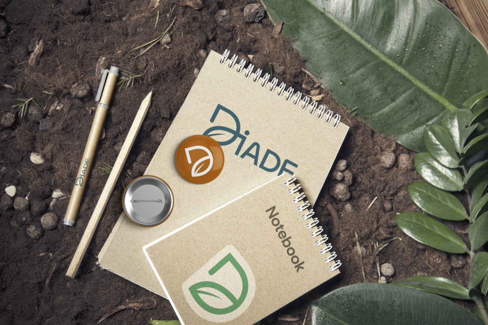 Identité visuelle DIADE