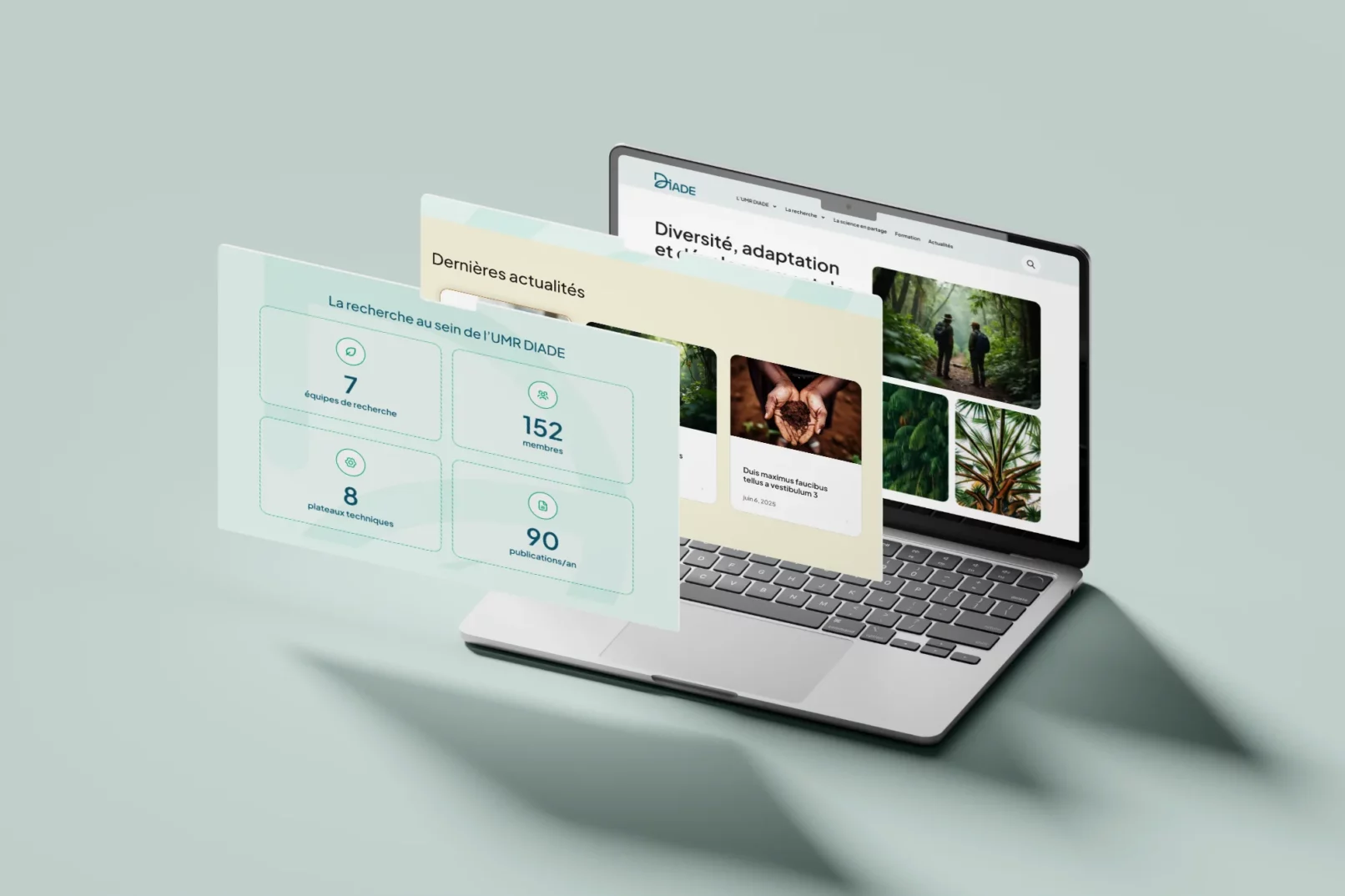 Refonte site web DIADE