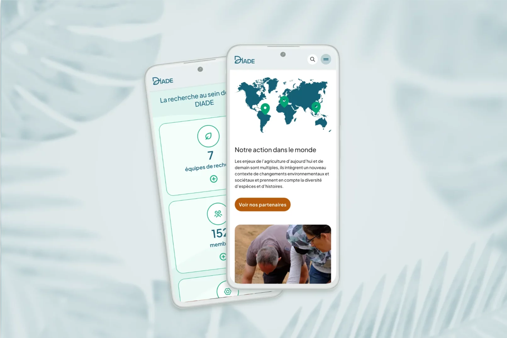 Version mobile site DIADE
