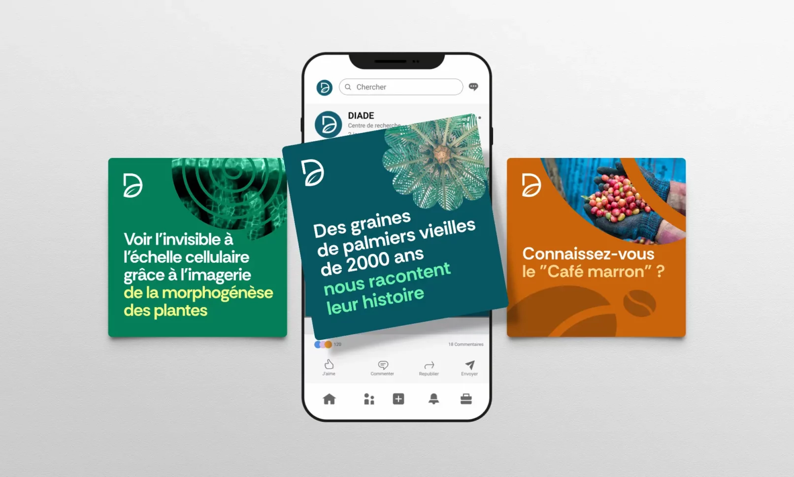 Branding réseaux sociaux DIADE