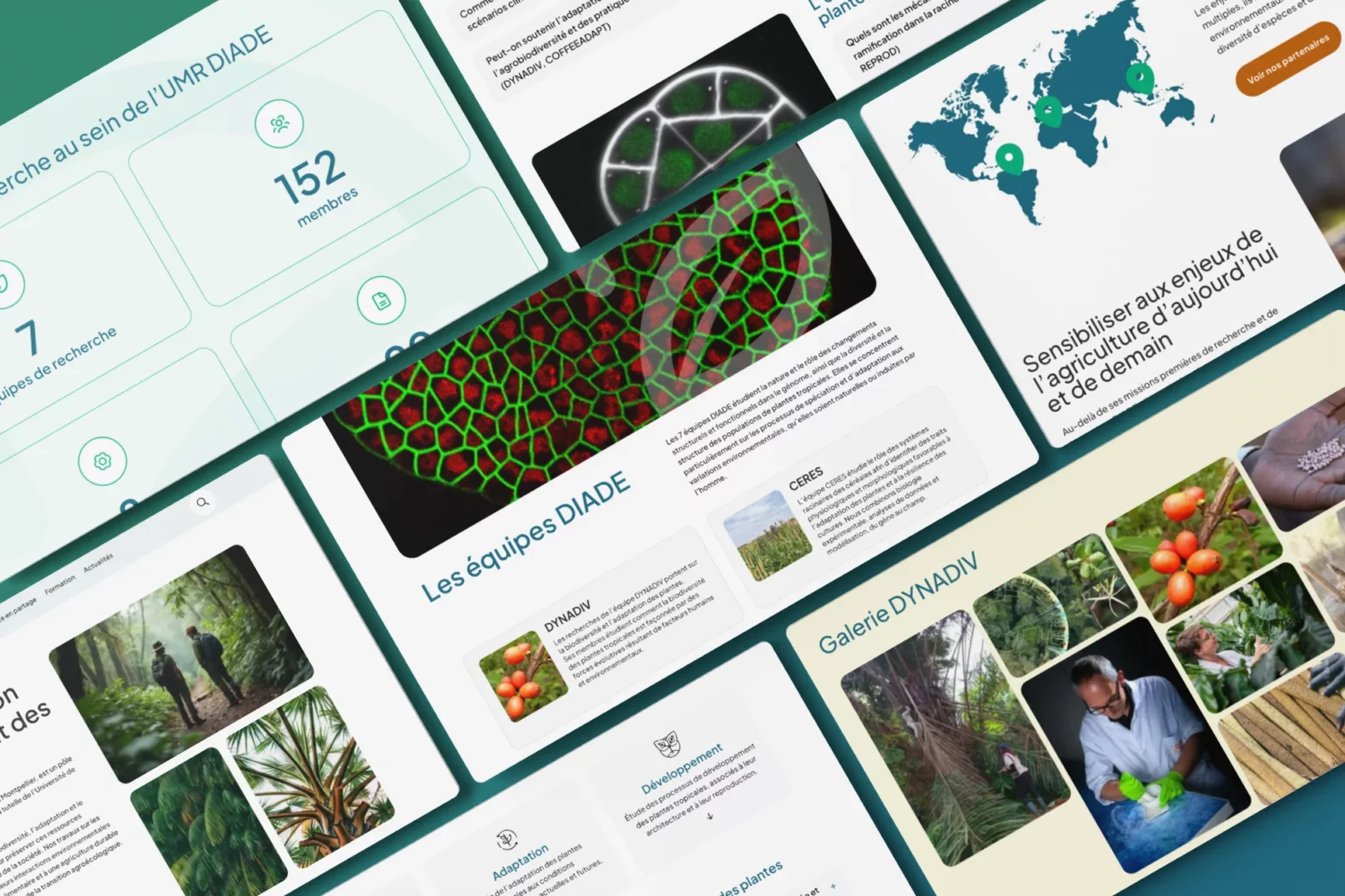 Refonte écrans site web DIADE